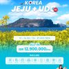 Tour Jeju Island, Korea