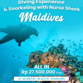 Diving with Nurse Shark in Maldives