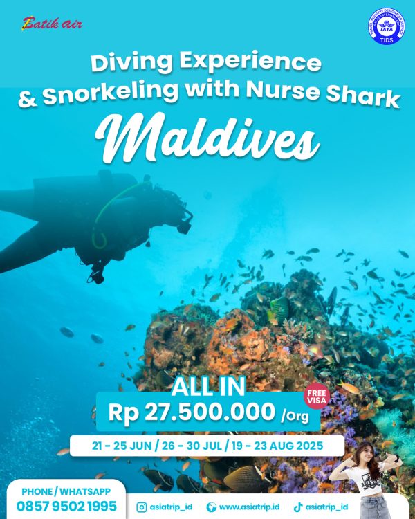 Diving with Nurse Shark in Maldives
