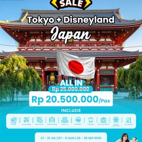 Tour Tokyo + Disney with Japan Airlines