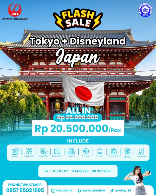 Tour Tokyo + Disney with Japan Airlines