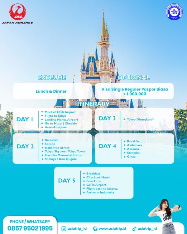 Tour Tokyo + Disney with Japan Airlines - Image 2