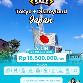 Tour Tokyo + Disneyland, Japan