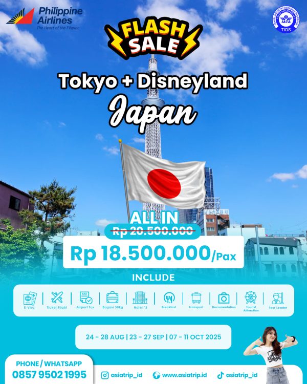Tour Tokyo + Disneyland, Japan