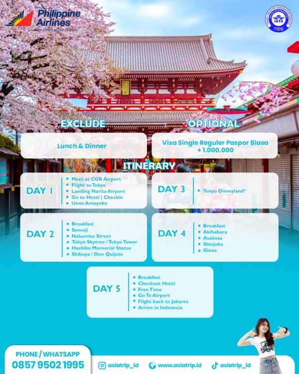 Tour Tokyo + Disneyland, Japan - Image 2