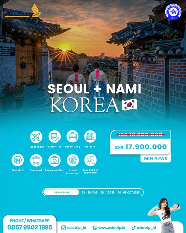 Tour Seoul + Nami Island, Korea
