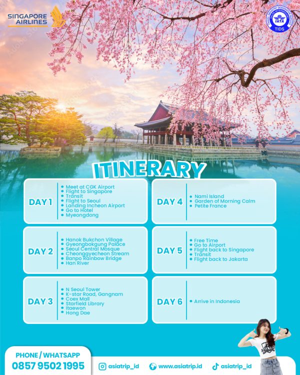 Tour Seoul + Nami Island, Korea - Image 2