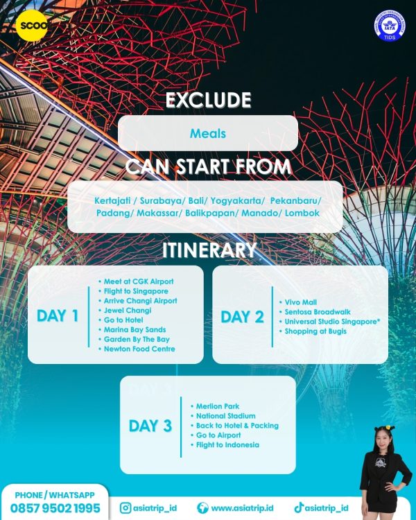 Tour Singapore 3D2N - Image 2