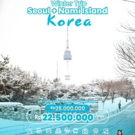 Winter Trip Seoul + Nami, Korea