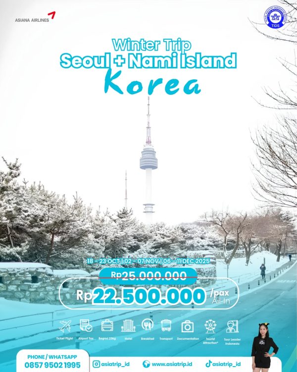 Winter Trip Seoul + Nami, Korea