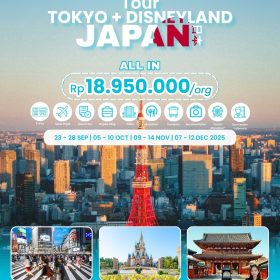 Tour Tokyo + Disneyland, Japan