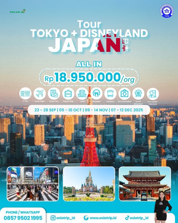 Tour Tokyo + Disneyland, Japan