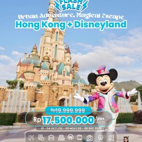 FlashSale Hongkong + Disneyland