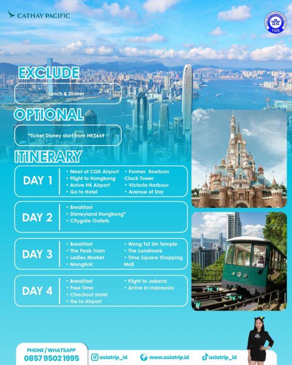FlashSale Hongkong + Disneyland - Image 2
