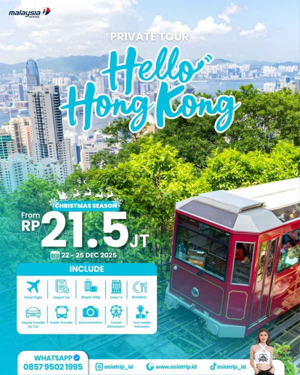 Private Tour HongKong + Disneyland