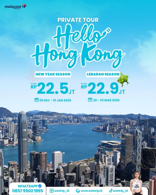 Private Tour HongKong + Disneyland - Image 2