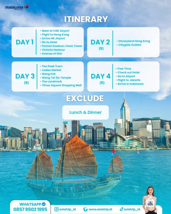 Private Tour HongKong + Disneyland - Image 3