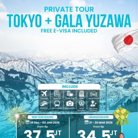 Private Tour Tokyo + Gala Yuzawa, Japan