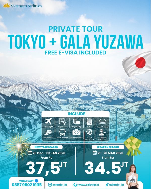 Private Tour Tokyo + Gala Yuzawa, Japan