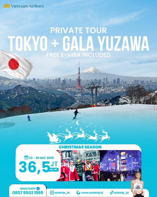 Private Tour Tokyo + Gala Yuzawa, Japan - Image 2