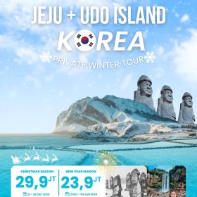Private Winter Tour Jeju + Udo Island, Korea