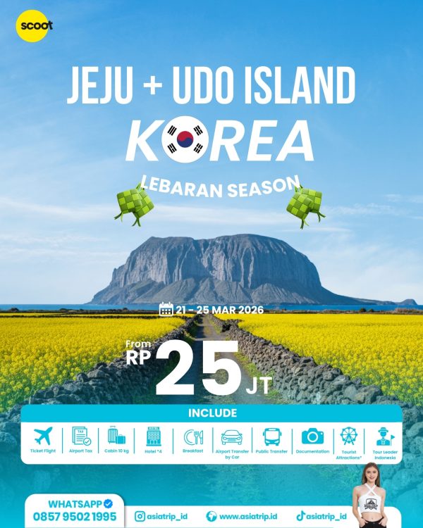 Private Winter Tour Jeju + Udo Island, Korea - Image 2