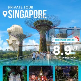 Private Tour Singapore
