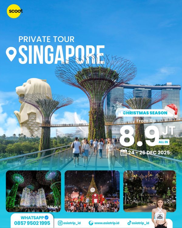 Private Tour Singapore