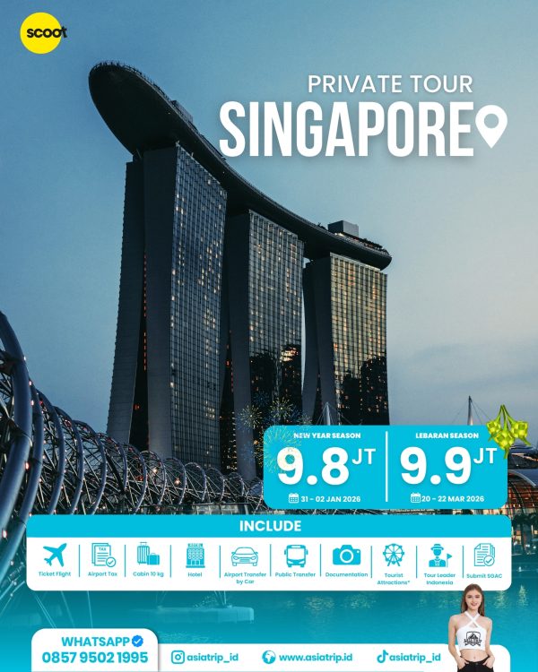 Private Tour Singapore - Image 2