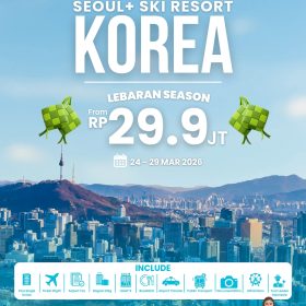 Private Tour Seoul + Ski Resort, Korea