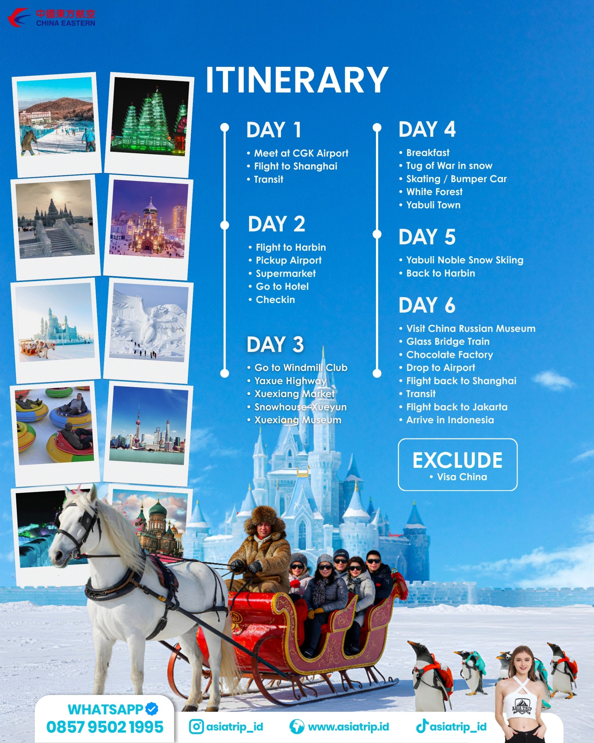 VIP Luxury Snow Tour Harbin, China - Image 2