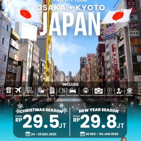 Private Tour Osaka + Kyoto, Japan