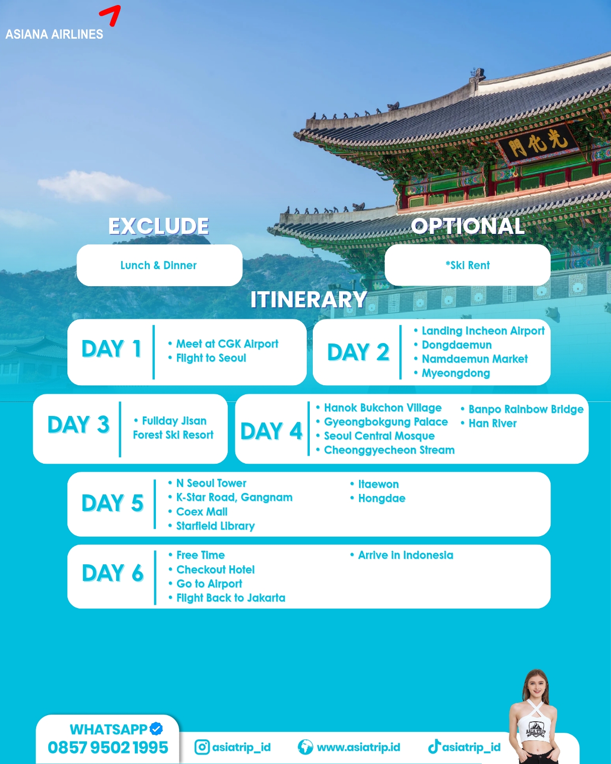 Private Tour Seoul + Ski Resort, Korea - Image 3