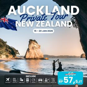 Private Tour Auckland, New Zealand