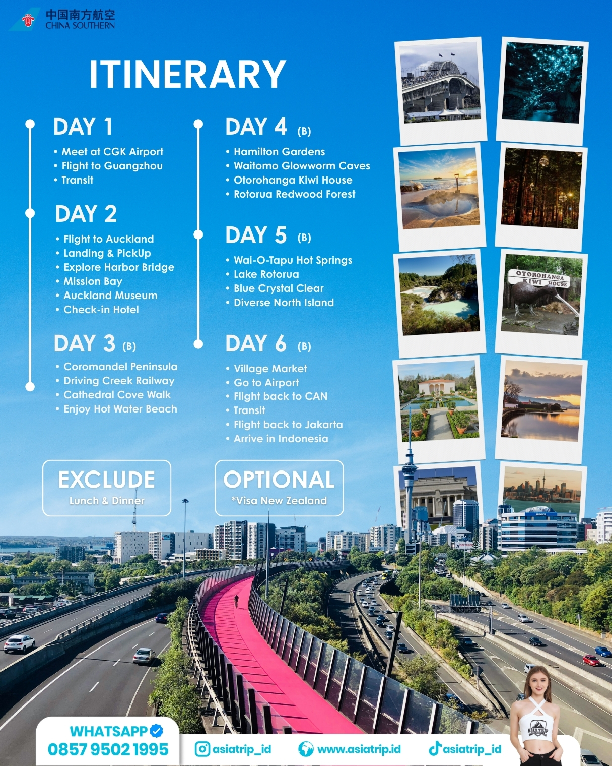 Private Tour Auckland, New Zealand - Image 2