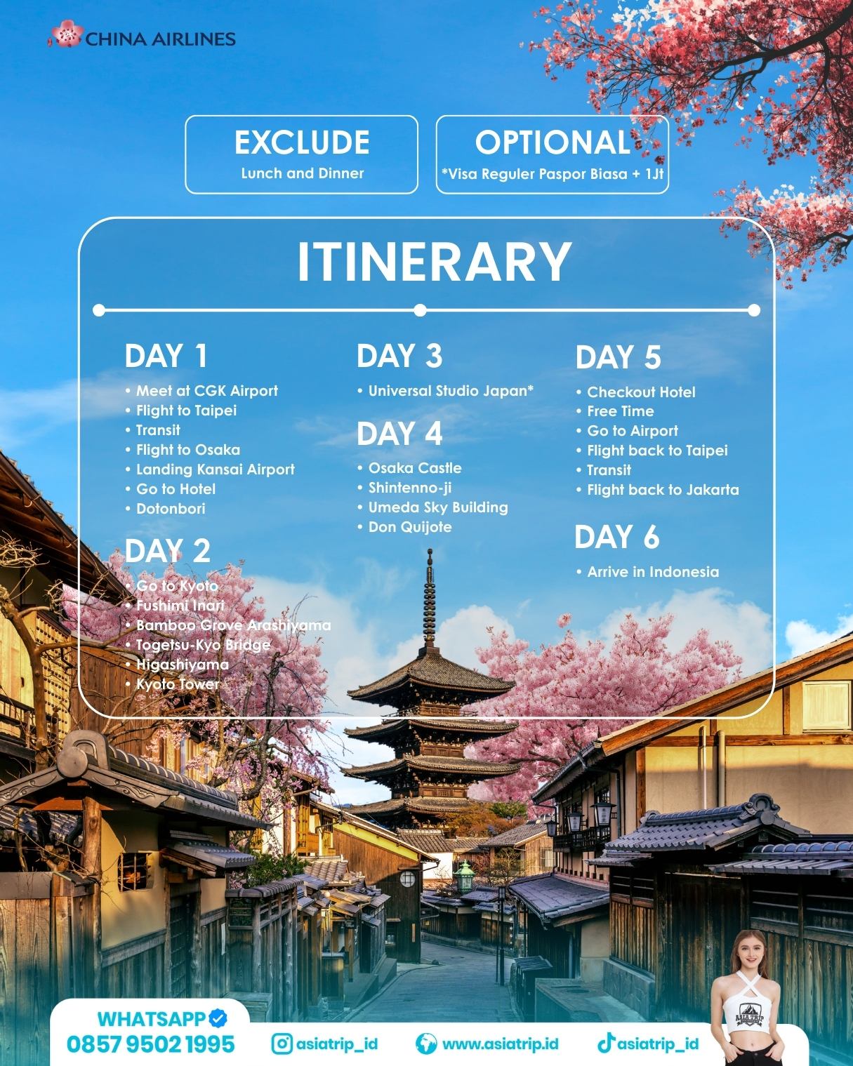 Osaka + Kyoto Cherry Blossom Japan - Image 2