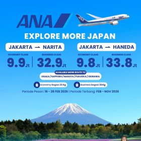 Ticket Promo ANA