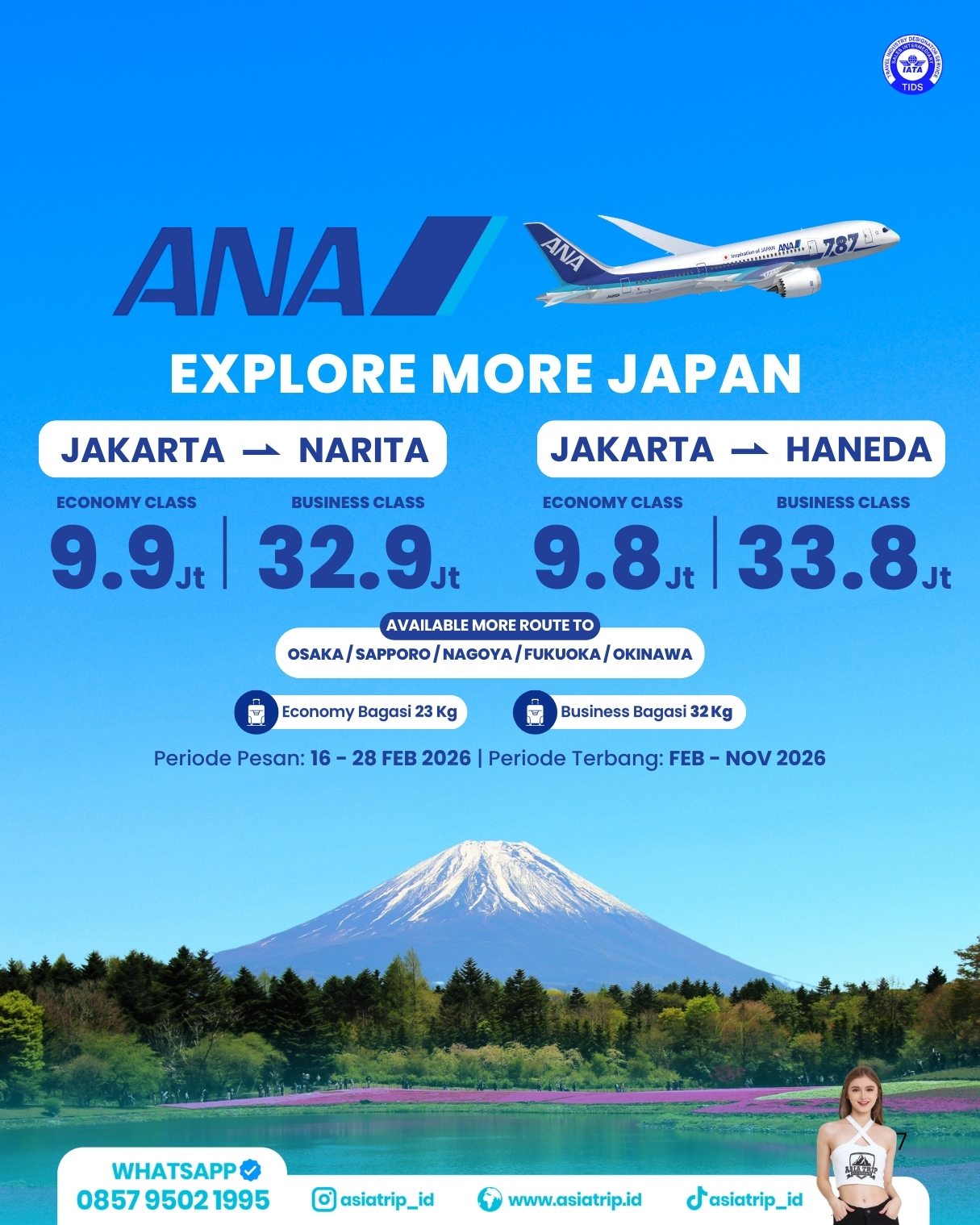Ticket Promo ANA