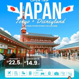 OpenTrip Tokyo + Disneyland, Japan