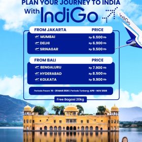 Promo Ticket IndiGo
