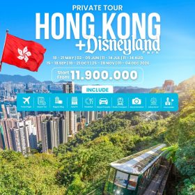 Private Tour HongKong + Disneyland 2026