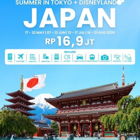 Summer in Tokyo + Disneyland, Japan