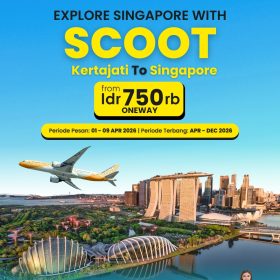 Ticket Flight Scoot