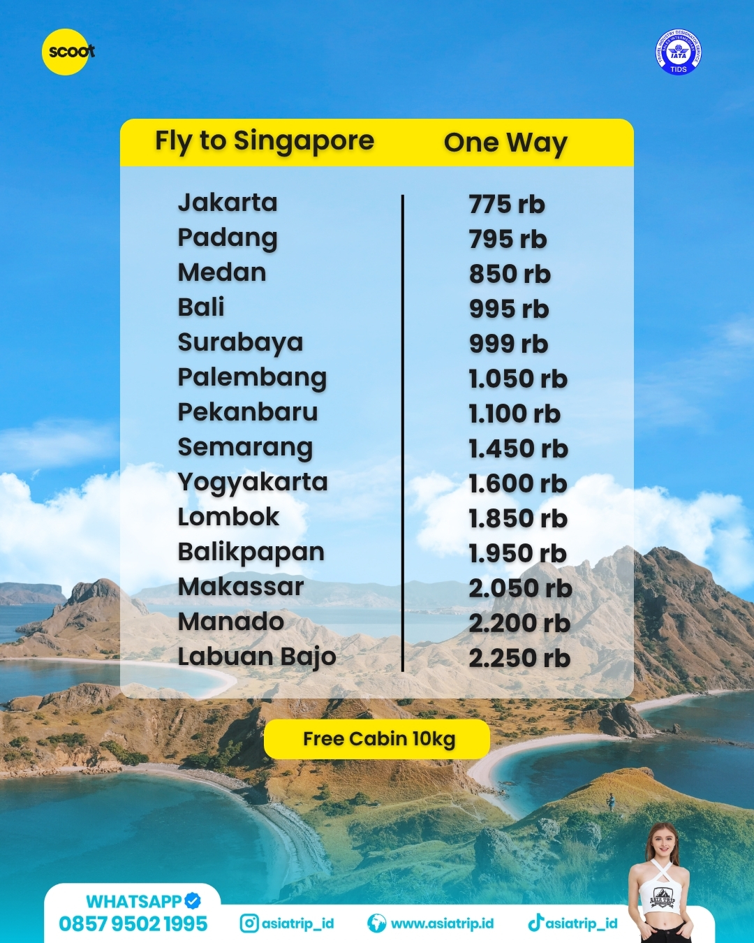 Ticket Flight Scoot - Image 2