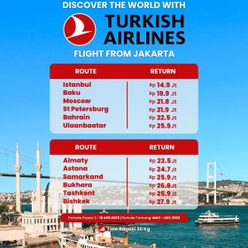Ticket Turkish Airlines