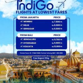 Ticket IndiGo