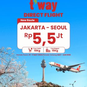 Ticket T'way Air