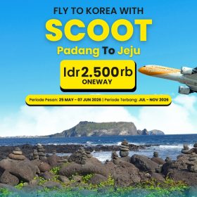 Ticket Scoot