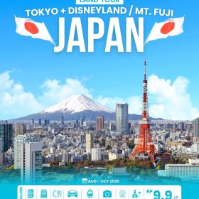 LandTour Tokyo + Disneyland / Mt. Fuji