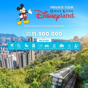 Private Tour Disneyland, HongKong
